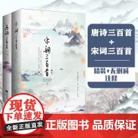 中国挚美唐诗宋词 唐诗三百首+宋词三百首 精装版 套装全2册 中小学课外阅读感受中华文化的传承注释点评赏析畅