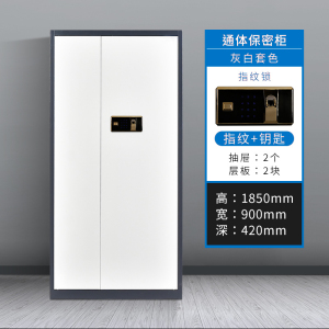 风雷动办公文件柜国宝锁指纹保密柜电子密码锁财务档案柜保险柜资料柜铁