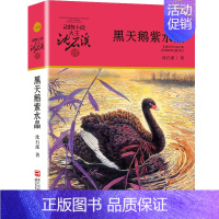 黑天鹅紫水晶 [正版]狼王梦沈石溪动物小说系列品藏书系后一头战象8-10-12-15周岁儿童文学三四五六年级中小学生课外