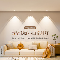 雷士照明超薄彩虹小山丘射灯嵌入式家用客厅超薄筒灯洗墙灯芳华