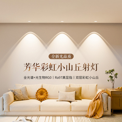 雷士照明超薄彩虹小山丘射灯嵌入式家用客厅超薄筒灯洗墙灯芳华
