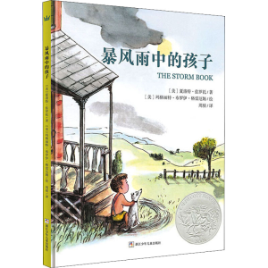 醉染图书暴风雨中的孩子9787534292989