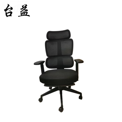 台益 办公椅 TY-MSDA668J 700*600*1250mm 把