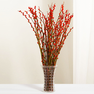 弹痕银柳真花鲜枝新年宵花卉盆栽红色银柳干花福桶室内花水培养绿植物