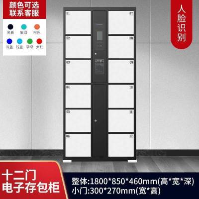 帝德龙12门存包柜电子存放柜人脸识别BMG-Z3 850*460*1800mm