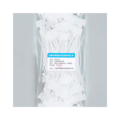 百名迖 标牌标签扎带 白色3*100mm(100条) 包