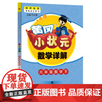 2024年春季黄冈小状元数学详解六年级数学(下)人教版