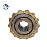 SKSM偏心轴承RN313