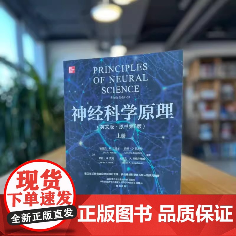 神经科学原理 英文版·原书第6版 美 埃里克·R.坎德尔 美 约翰·D.凯斯特 神经科学原理 英文版·原书第6版 [美]