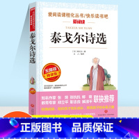 [正版]泰戈尔诗选 无障碍精读版 名师指导初中九年级课外阅读文学图书语文必读丛书读物注解名师导读版老师新编 经典文学畅