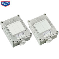 西瑞思-防爆开关 XRS-DFG 三开/四开/个