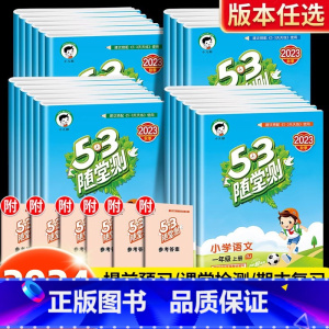 二年级下册 53天天练 语文+数学 人教版 [正版]新版53随堂测一年级二年级三四五六年级上册下册语文数学英语全套人教版