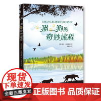 一猫二狗的奇妙旅程经典动物小说沈石溪迪士尼改编电影一只猫两条狗寻找主人的故事奥瑞安文学奖 刘易斯·卡罗尔书架奖爱心树