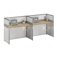 臻远 ZYGW-006 职员桌办公桌屏风工作卡位 直排双人位