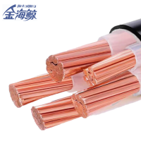金海鲸 低烟无卤电力电缆WDZYJY3×95+1 米