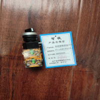 智铁双层旋转按钮开关 ZT-LA38*203/22*2 个