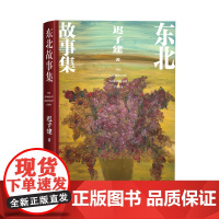 东北故事集 第七届茅盾文学奖获奖作家迟子建全新作品 迟子建散文故事集精选人民文学出版社现代当代小说书籍正版