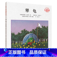 犟龟 [正版]美国图书馆协会奖风到哪里去了绘本儿童故事书3-6 4岁书籍儿童读物儿童获奖绘本 书 绘本榜三年级课外书 硬