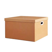 历途科技牛皮纸箱49.5*35*36.5cm 个