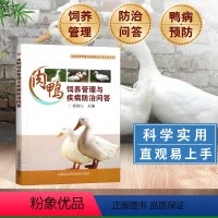 [正版]肉鸭饲养管理与疾病防治问答养鸭技术蛋鸭养殖技术养鸭书籍高效养鸭子疾病防治技术书籍肉鸭养殖场管理手册养鸭bi备药