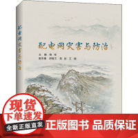 配电网灾害与防治 陈彬 编 建筑/水利(新)专业科技 正版图书籍 中国电力出版社