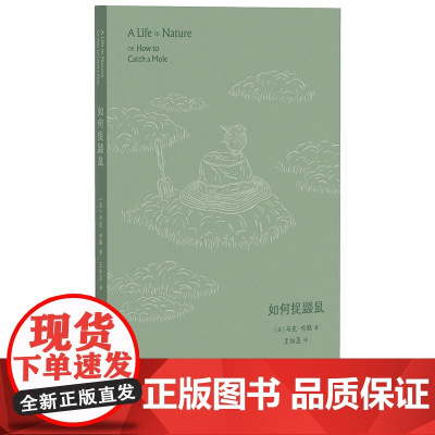 如何捉鼹鼠 9787559876430 北贝 广西师范大学出版社 马克·哈默 著,王知夏 译,惊奇 出品 2025-01