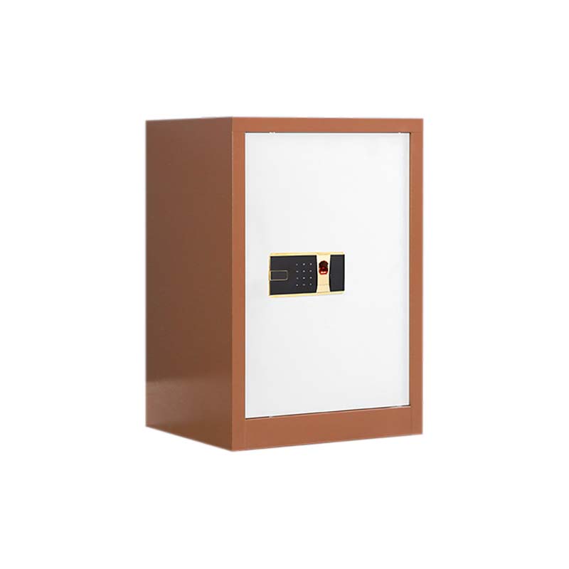 湘渭保密柜财务档案柜文件柜办公室资料储物柜保险柜单门咖白-指纹密码锁