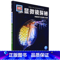 显微镜探秘 [正版]德国少年儿童百科知识全书·珍藏版 68册什么是什么德百系列精装科普百科全书自然科学社会历史知识7岁+