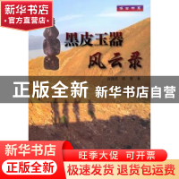 正版 黑皮玉器风云录 陈逸民,陈莺著 上海大学出版社 9787