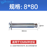 苏宁 万莱云特 减速带专用膨胀螺丝 /WLYT-LS004/8*100mm(10支)/组 10组起订