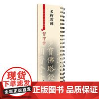 习字卡·多宝塔碑 (彩色放大本中国著名碑帖习字卡) 上海辞书出版社