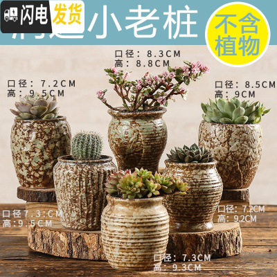 三维工匠多肉花盆陶瓷创意个性粗陶肉肉植物盆器大口径小花盆 润达小老桩6个 中小花盆容器