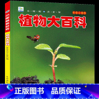 [任选3本39元]植物百科 [正版]飞机百科全书注音版图书儿童书籍科普航空大百科交通工具小百科绘本读物全套科学认知少儿3