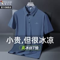 啄木鸟官方旗舰店爸爸短袖t恤男士中老年冰丝polo衫2025新款夏季