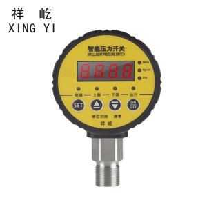 祥屹 数显电接点压力表检测定制型 HC-Y810 块