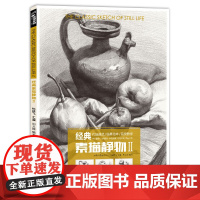 经典全集 经典素描静物②组合铅笔美术绘画书籍 临摹范本陈顶技法sh'