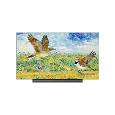 康佳小百灵 75G10 Pro 75英寸MiniLED JBL音响家用电视机