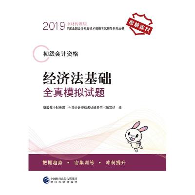 正版新书]中财传媒版2019年度全国会计专业技术资格考试辅导系列