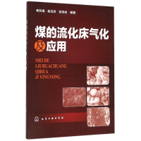 音像煤的流化床气化及应用编者:李风海//段玉玲//张传祥