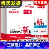 [套装]语文+数学 一年级上 [正版]2024一本小学同步培优新试卷语文数学上册人教一二三四五六年级上册测试卷 小学同步