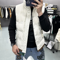 男士立领羽绒马甲坎肩外穿新款马夹背心外套保暖鸭绒秋冬新款加厚