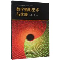 数字摄影艺术与实践(设计创新与实践应用“十三五”规