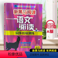 语文阅读同步拓展训练 A版 小学四年级 [正版]2023新版 新黑马阅读语文阅读同步拓展训练小学四4年级A版 通用版小学
