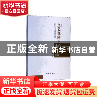 正版 文艺视阈下翻译的多向度研究 肖红 新华出版社 978751664803