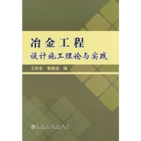 音像冶金工程设计施工理论与实践王玖宏王玖宏,雷建强 编