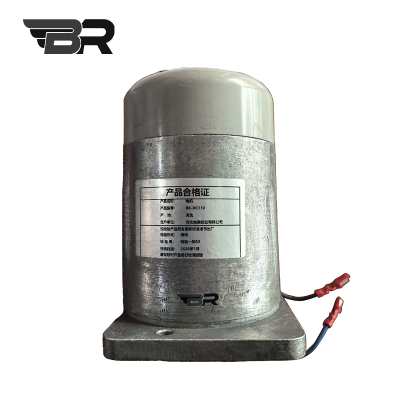BR 电机 BR-DC110 台