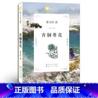 青铜葵花 [正版] 青铜葵花 完整版原版全套人民文学出版社 曹文轩作品原版小学生四年级下册初中生青少版课外书故事书全套天
