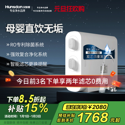 汉斯顿/Hunsdon[国家补贴] 0阻垢剂添加净水器家用直饮净水机厨下式RO反渗透母婴直饮机自来水过滤器D3