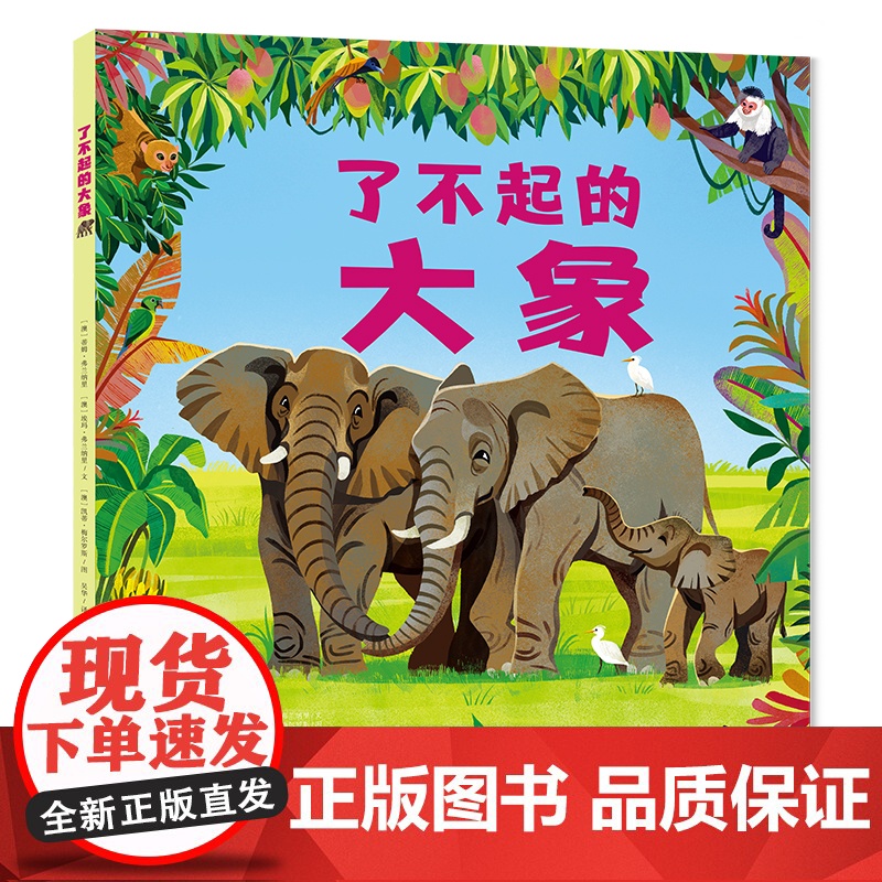 了不起的大象