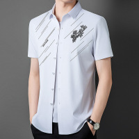 2025夏季新款短袖衬衫男士无痕T恤衬衣POLO半袖商务男装